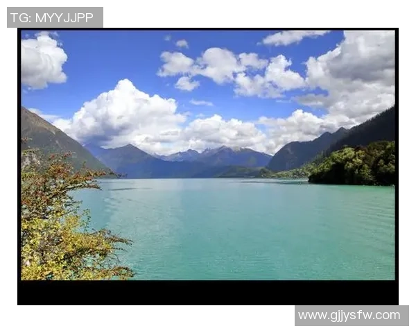 可兰白克的传奇人生与文化影响力探究与反思