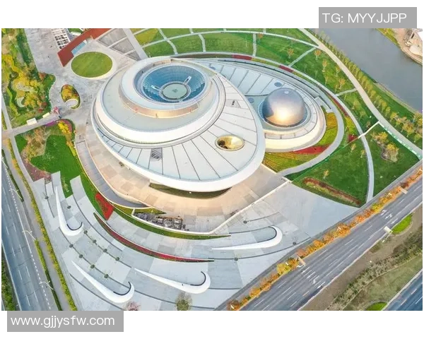 太阳与自由直播视频下载的完美结合探索与分享新视野