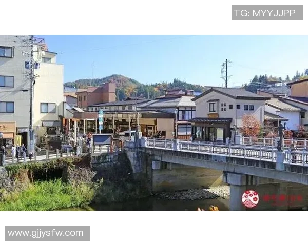 岐阜与千叶市的城市魅力对比探讨与文化交流之旅