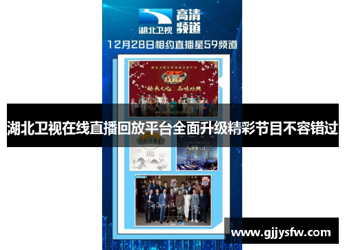湖北卫视在线直播回放平台全面升级精彩节目不容错过